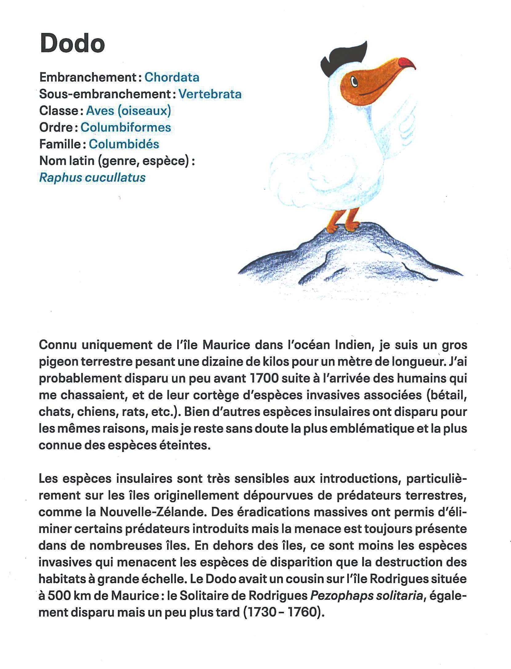 Le dodo