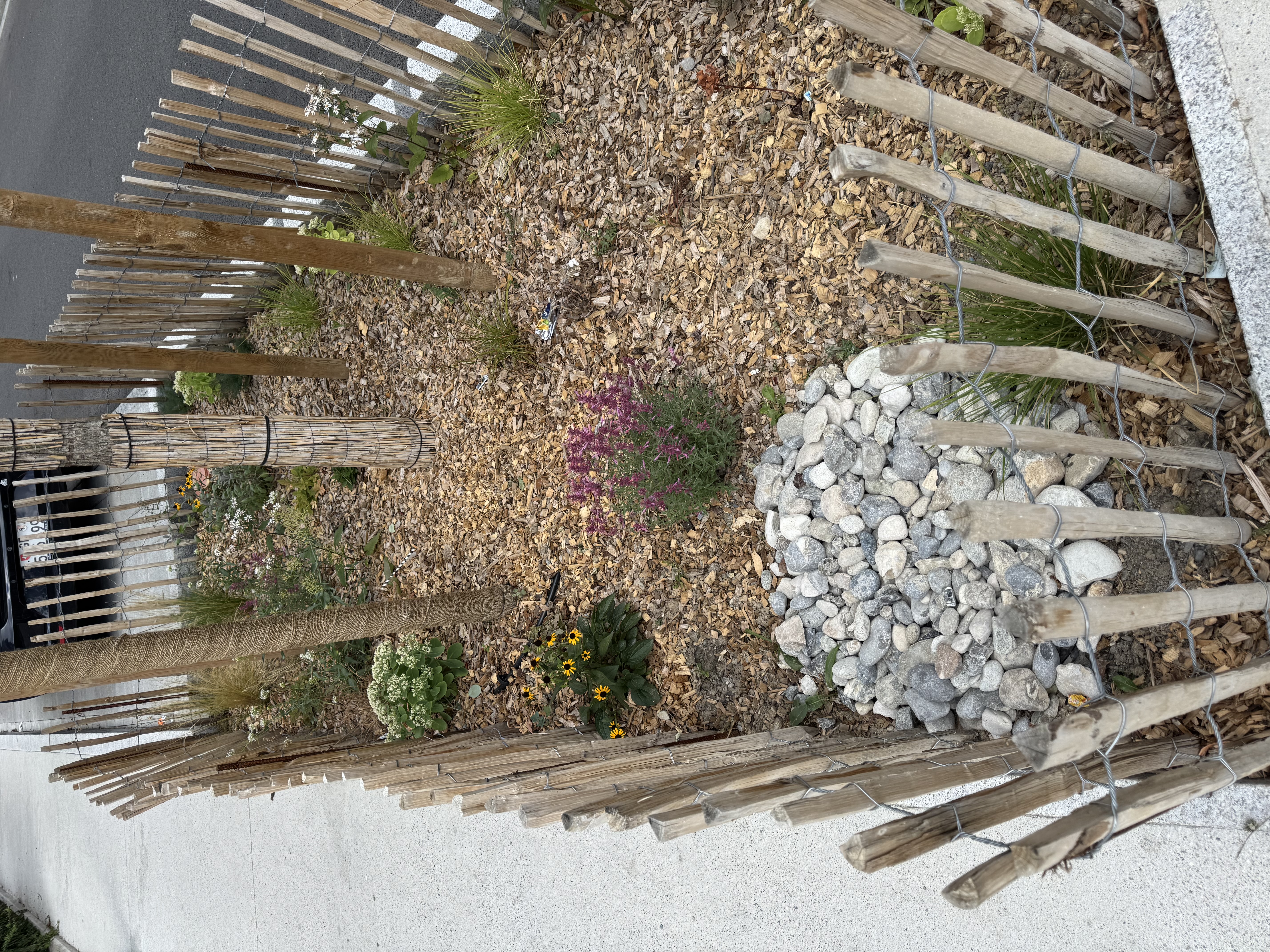 Chemin De-Maisonneuve, aménagement d'une fosse, photographie Ville de Vernier
