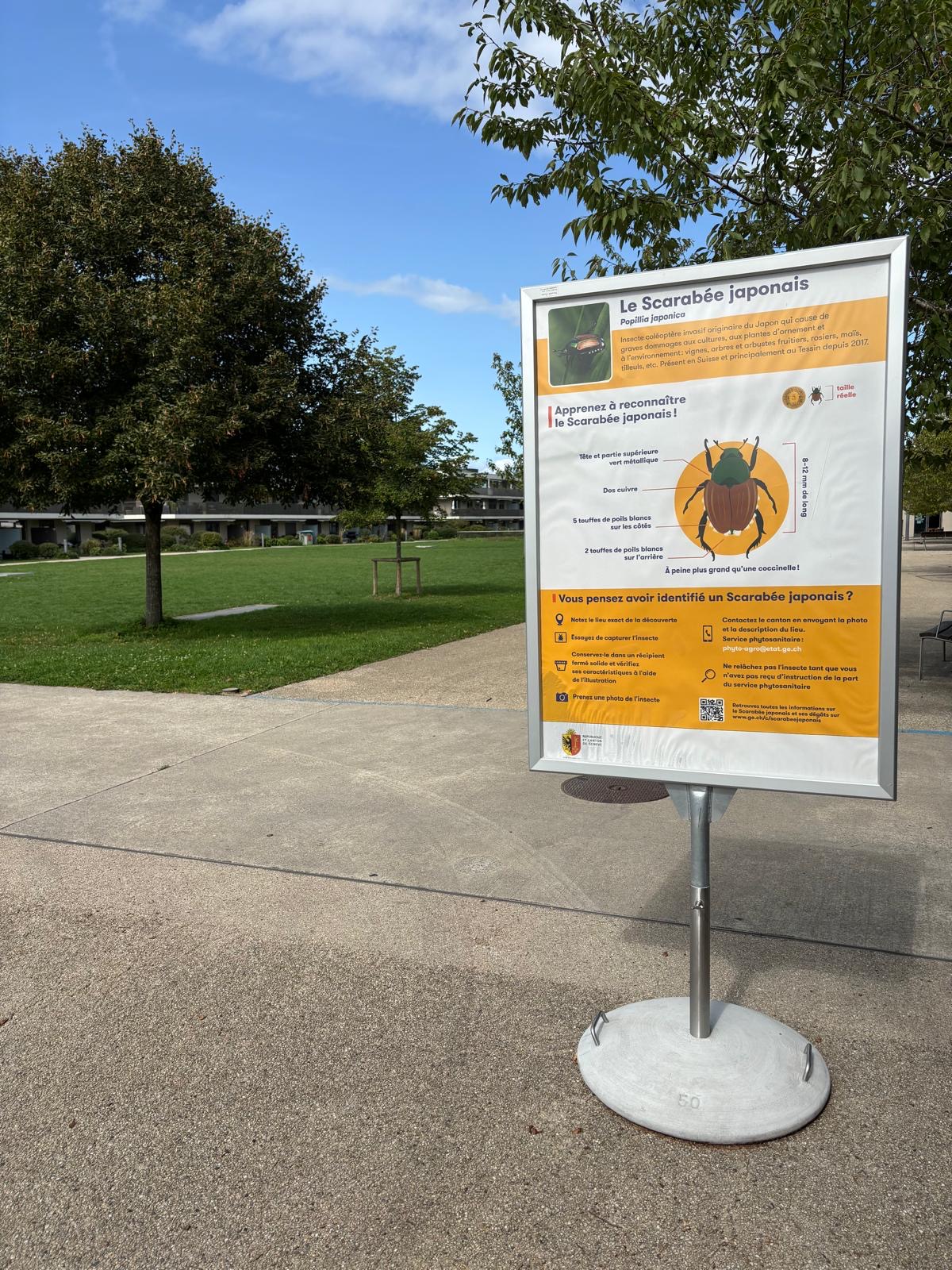 Panneau d'information pour la population à Meinier