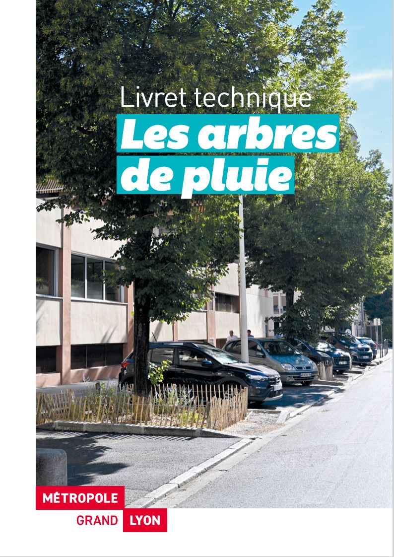Arbre de pluie