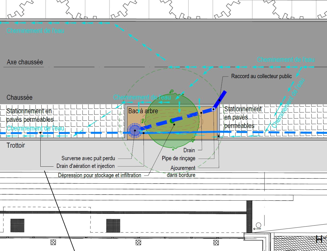 Fonctionnement des fosses, vue en plan, bureau Solfor pour l'office cantonal de l'eau