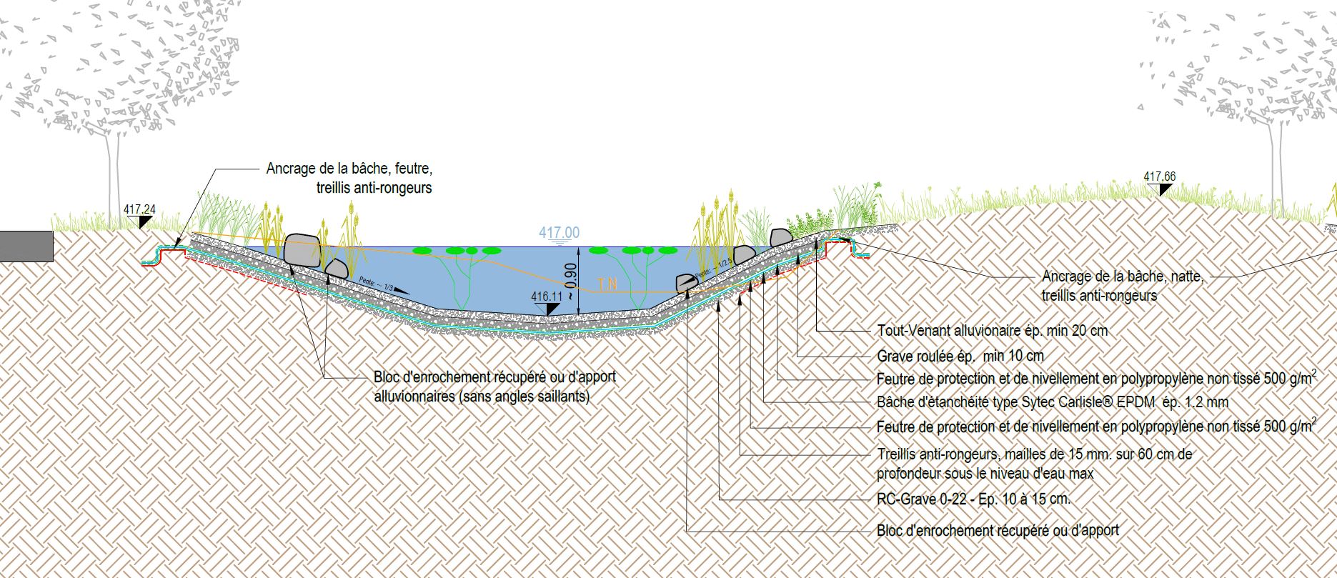 Etang des Tritons, Extrait de la coupe, bureau CERA pour la Ville de Vernier