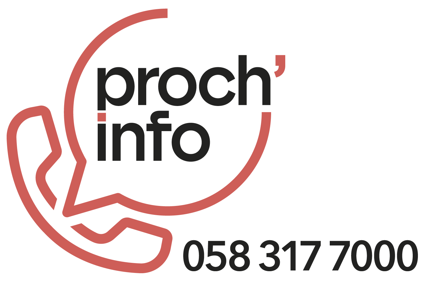 Proch'info logo B