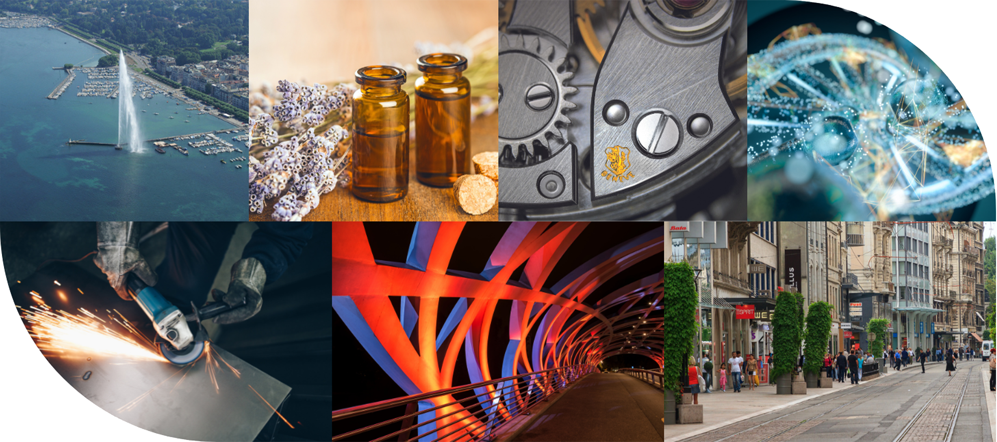 Economie et innovation