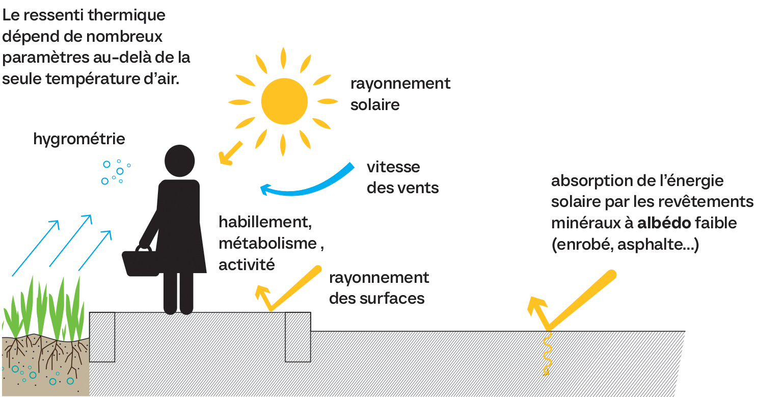 Facteurs d'influence sur la température ressentie