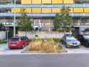 Places végétalisées