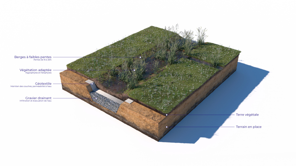Coupe d’une noue drainante (Pixalab pour l'office cantonal de l'eau)