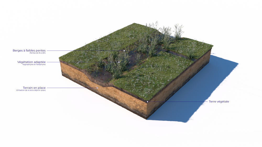 Coupe d’une noue de rétention (Pixalab pour l'office cantonal de l'eau)