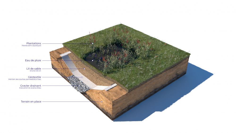 Coupe d’un jardin de pluie (Pixalab pour l'office cantonal de l'eau)