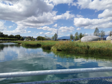 La roselière et le jardin d'eau, août 2020 La zone nature de la Plage Publique des Eaux-Vives