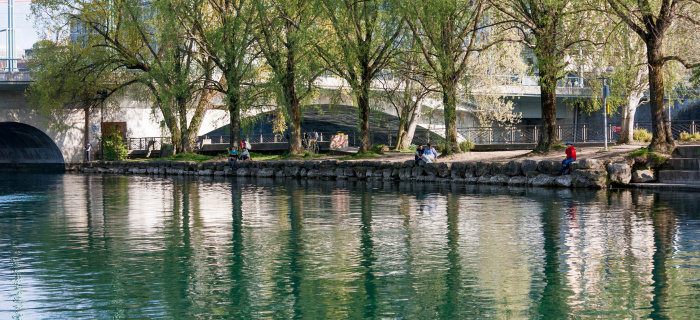 Rives boisées du Rhône urbain