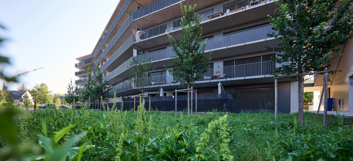 Nouveau quartier (c) Loris Von Siebenthal