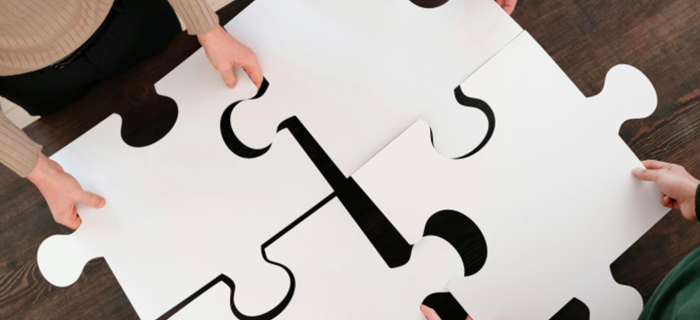 Journées nationales de la CII 2025 à Genève : retours