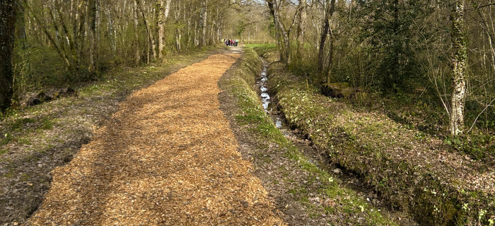 Piste de galop dans les Bois de Jussy