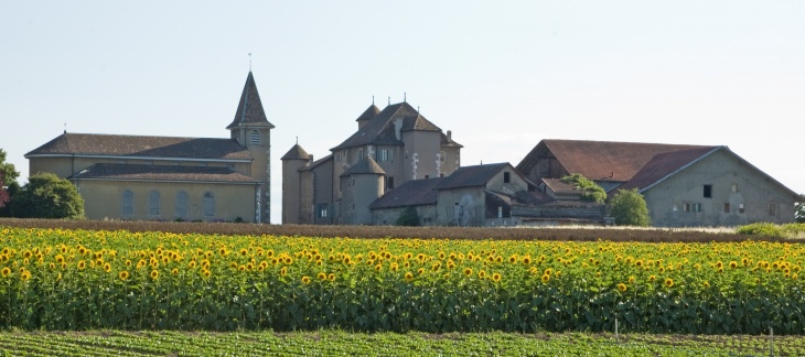 La Commanderie de Compesières vue depuis le coté nord, © Wikimedia Commons, Annirok (auteur)
