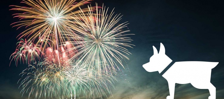 Protégez vos animaux du bruit des feux d'artifice!