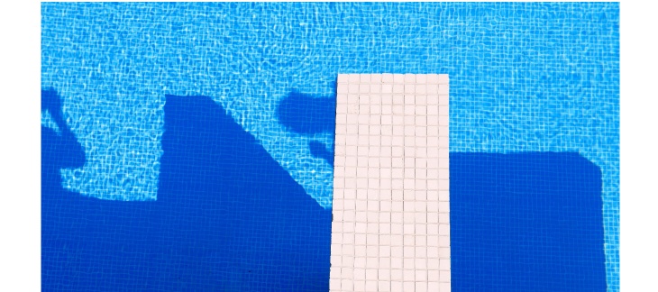 Couverture de la revue