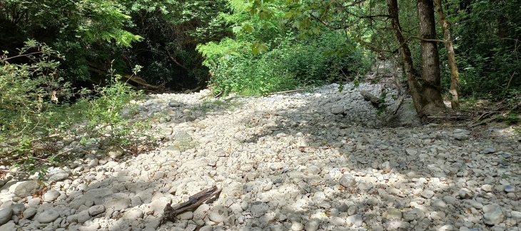Cours d'eau genevois qui subit la sécheresse Cours d'eau genevois qui subit la sécheresse