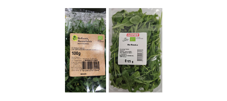 Rucola