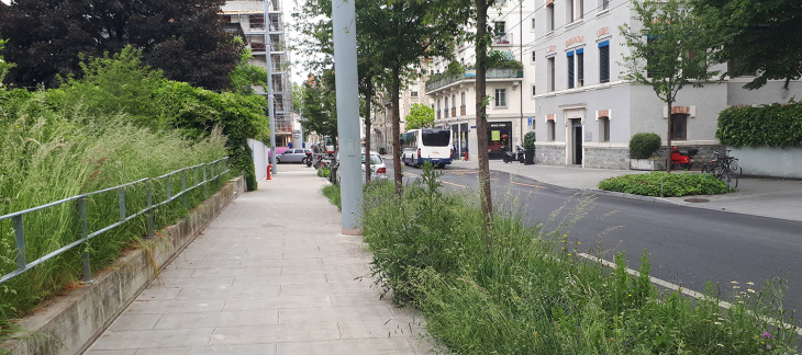 Rue à Genève
