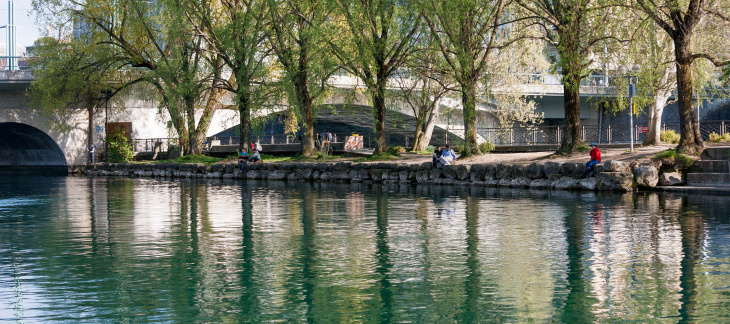 Rives boisées du Rhône urbain