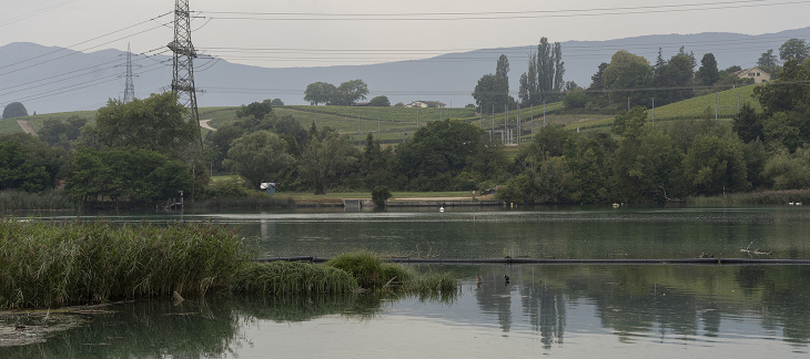 Paysage Verbois 2021 © Matthieu Gafsou, département du territoire