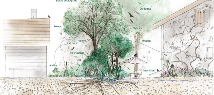 Illustration Atelier Plum pour l'office cantonal de l'eau