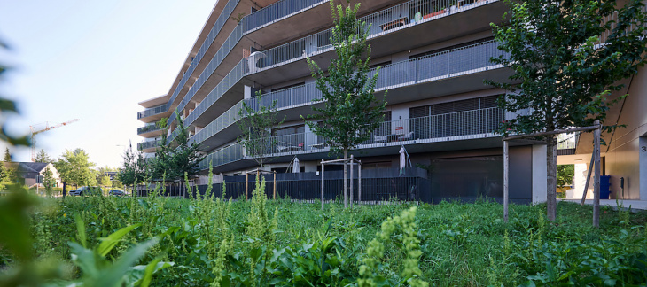 Nouveau quartier (c) Loris Von Siebenthal