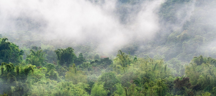 Rivière volante sur la forêt Amazonienne