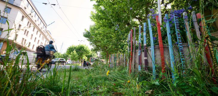 Désimperméabilisation au boulevard Jacques-Dalcroze (photo Loris Von Siebenthal)