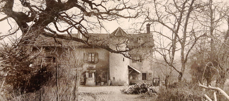 La Maison de la Forêt au tournant du siècle passé