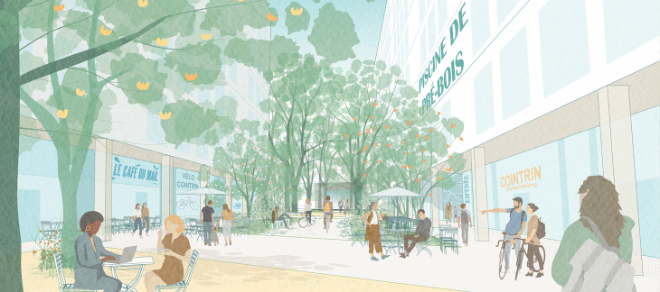 Projet Pré-Bois - mail - illustration Oxalys