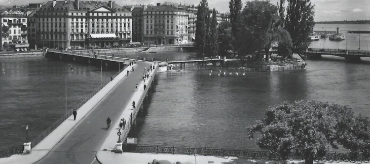 @Madeleine Luvisetto